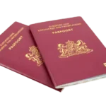 hollanda vatandasligi nasil alinir