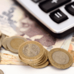 Alman İşletmeler Türkiye Pazarı