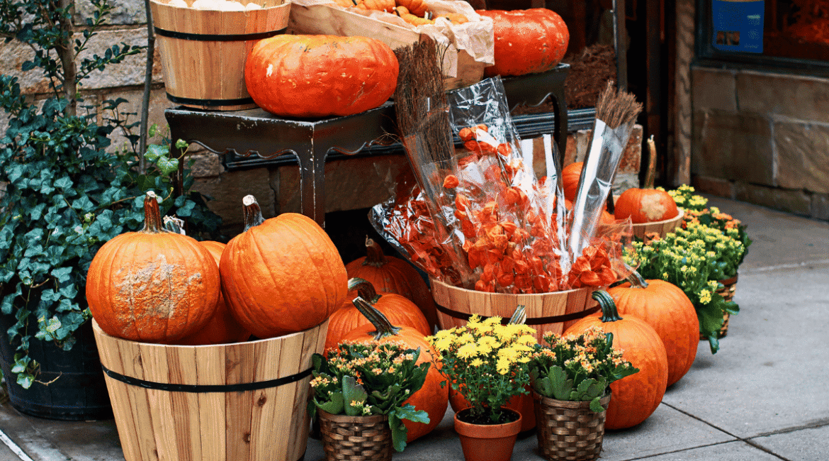 Alman Pazarında Türk Ürünlerinin Yükselişi ve Etkisi