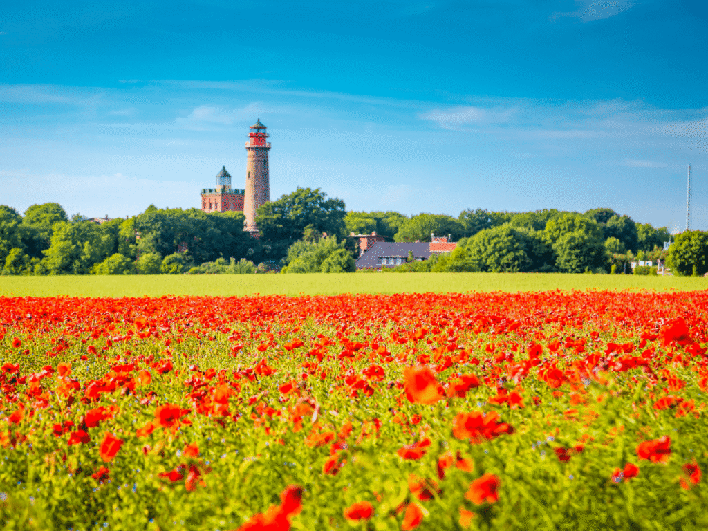 Almanya'nın Eyaletlerine Göre 2024 Tatil Günleri Rehberi