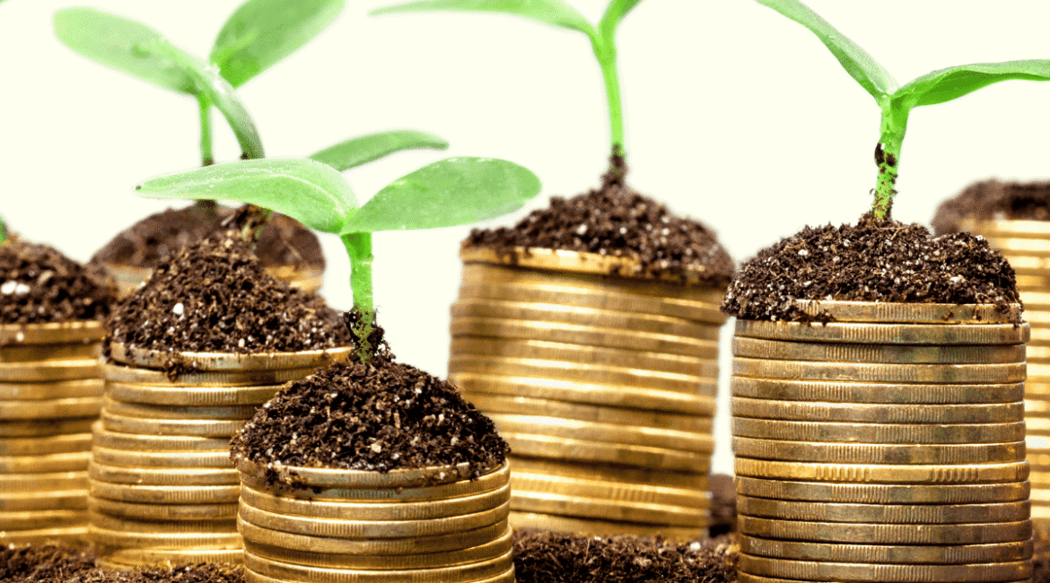 Amsterdam’da Yatırım: Fırsatlar, Avantajlar ve Öneriler