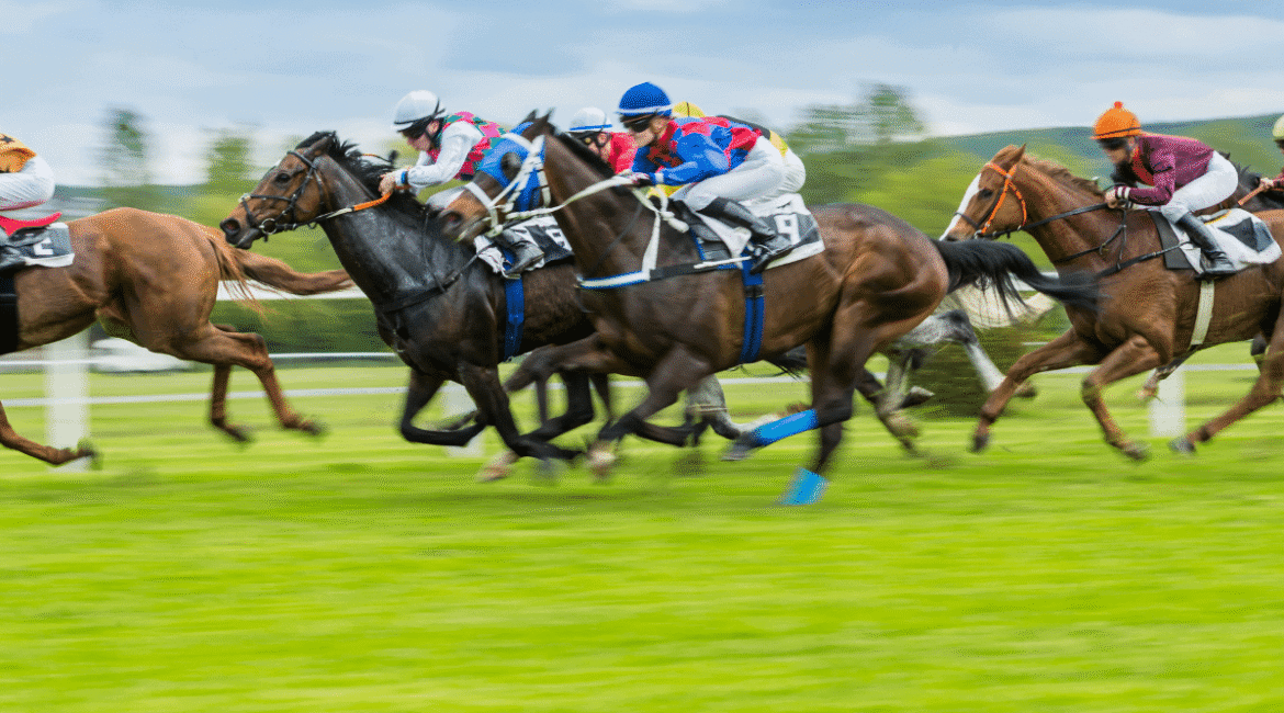 Hollanda At Yarışı Sonuçları: Detaylı İnceleme ve Bilgiler