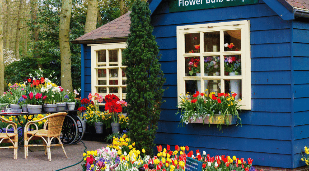 Hollanda Ev İlan Siteleri: En İyi Seçenekler