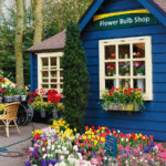 Hollanda Ev İlan Siteleri