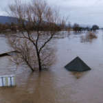 Hollanda Su Baskınları: Tarihi Felaketlerden Modern Koruma Stratejilerine Hollanda Su Baskınları