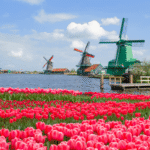 Hollanda Yel Değirmenleri Nerede