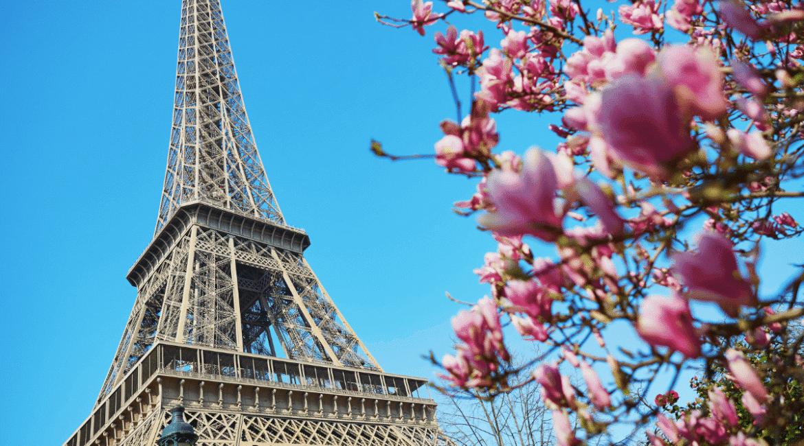 Hollanda ve Fransız İşgali: Tarihi ve Etkileri