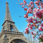 Hollanda ve Fransız İşgali: Tarihi ve Etkileri Hollanda ve Fransız İşgali