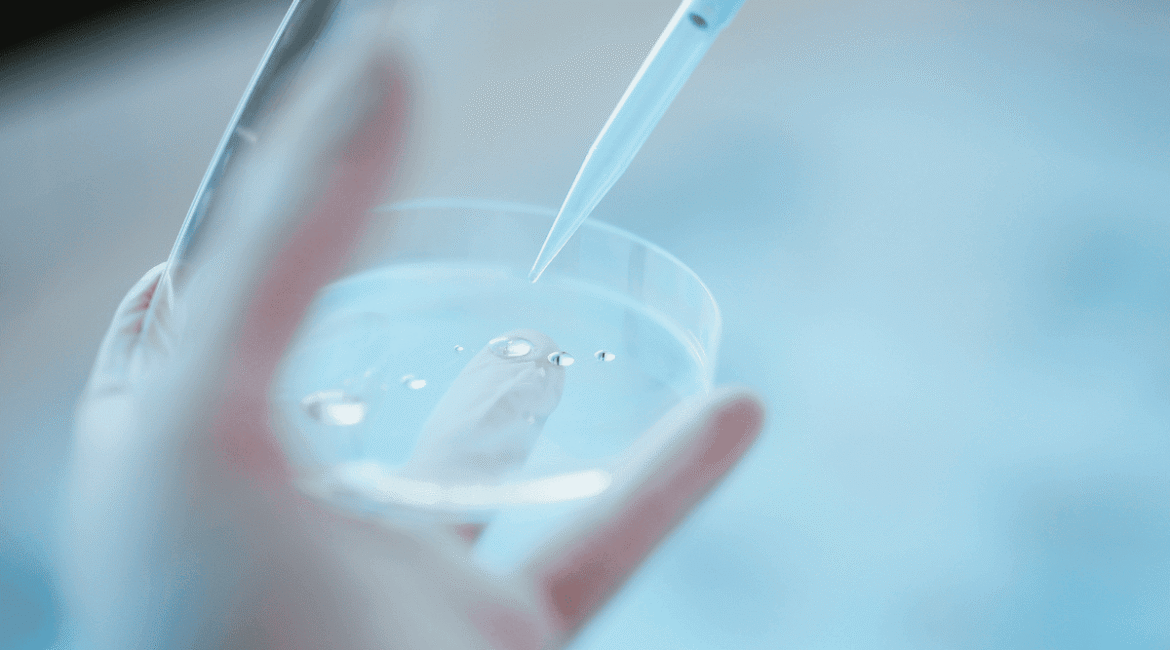 Hollanda’da Eğitim ve Bilim: Bir Bilgi Cenneti Hollanda’da Eğitim ve Bilim: Bir Bilgi Cenneti