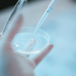 Hollanda'da Eğitim ve Bilim: Bir Bilgi Cenneti Hollanda'da Eğitim ve Bilim