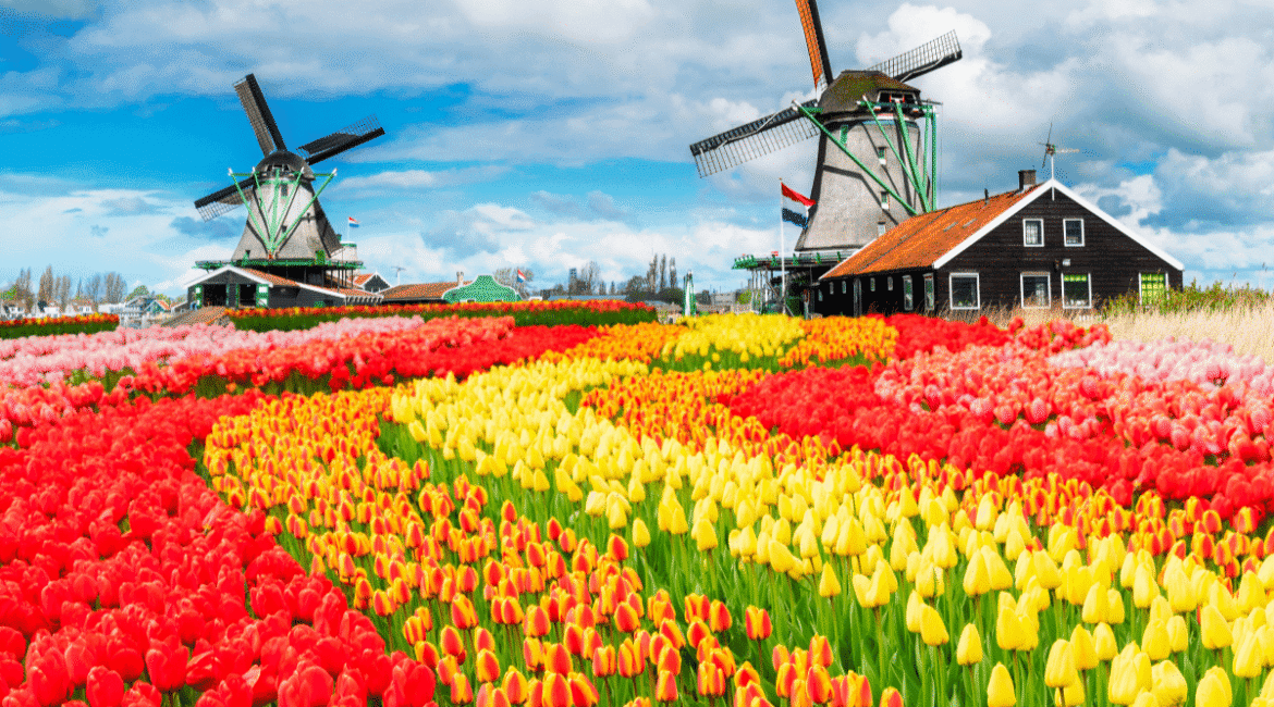 Hollanda’nın İlginç Özellikleri Hollanda’nın İlginç Özellikleri
