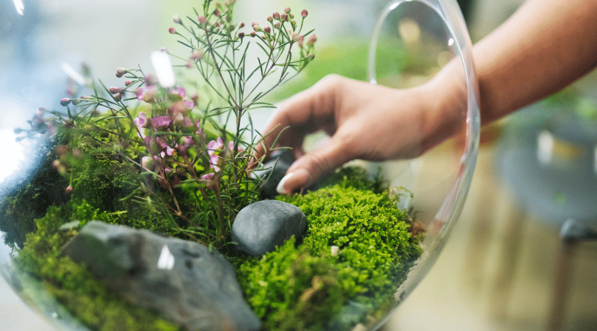 Türk-Alman Start-up Ekosistemi: İşbirliği, Yenilik ve Büyüme